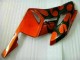 Kit Carenado Honda CBR 1000 RR 04-05 - Naranja Negro
