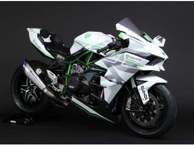Carenados Moto Kawasaki Ninja H2 2015-2022 - Blanco Plata Verde