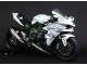 Carenados Moto Kawasaki Ninja H2 2015-2022 - Blanco Plata Verde