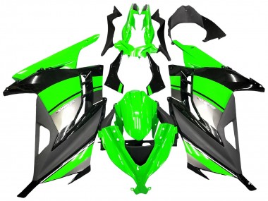 Carenados Moto Kawasaki EX300 2013-2024 - Verde Plata Negro