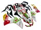 Carenado Moto Aprilia RS4 50 125 2012-2018 - Blanco Rojo Verde Amarillo Alitalia