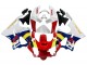 Carenados Moto Honda CBR900RR 919 1998-1999 - Blanco Rojo Amarillo Azul