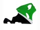 Carenados Moto Kawasaki ZX7R 1996-2003 - Blanco Verde Negro