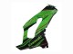 Carenados Moto Kawasaki ZX10R 2021-2025 - Verde Negro Brillante