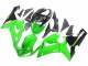 Carenados Moto Kawasaki ZX6R 2005-2006 - Verde Negro Ninja