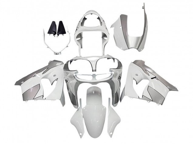 Carenados Moto Kawasaki ZX9R 2002-2003 - Blanco Plata